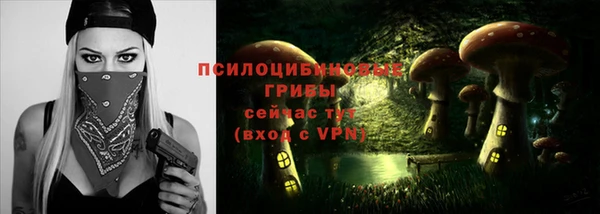 прущие крисы Покровск