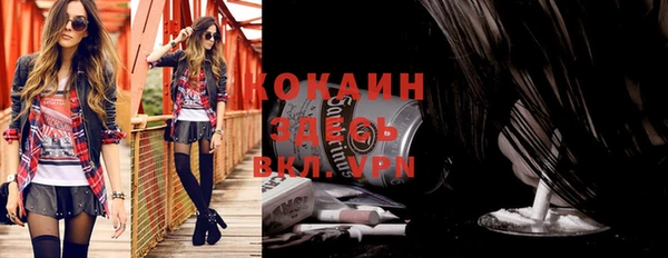 прущие грибы Грязовец