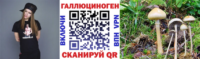 Галлюциногенные грибы мицелий  купить наркотики сайты  Лобня 
