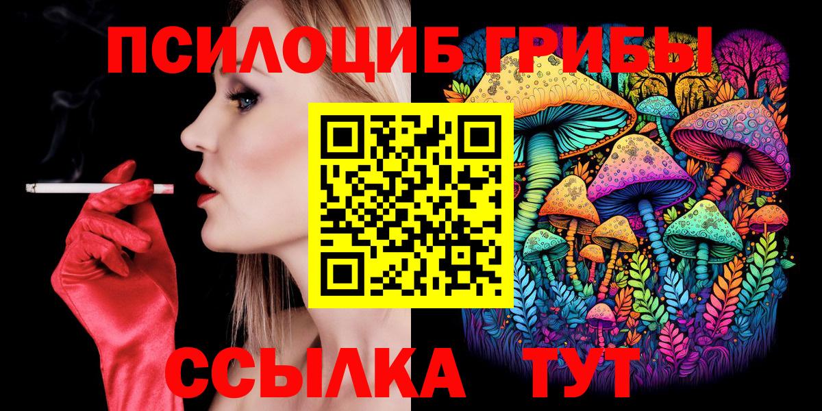 Псилоцибиновые грибы Psilocybine cubensis  Лобня  Псилоцибиновые грибы Cubensis 