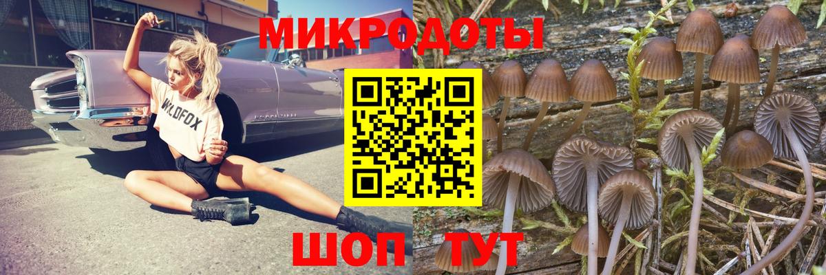 Лобня  Псилоцибиновые грибы Magic Shrooms  Вход с VPN  как найти   Псилоцибиновые грибы MAGIC MUSHROOMS 